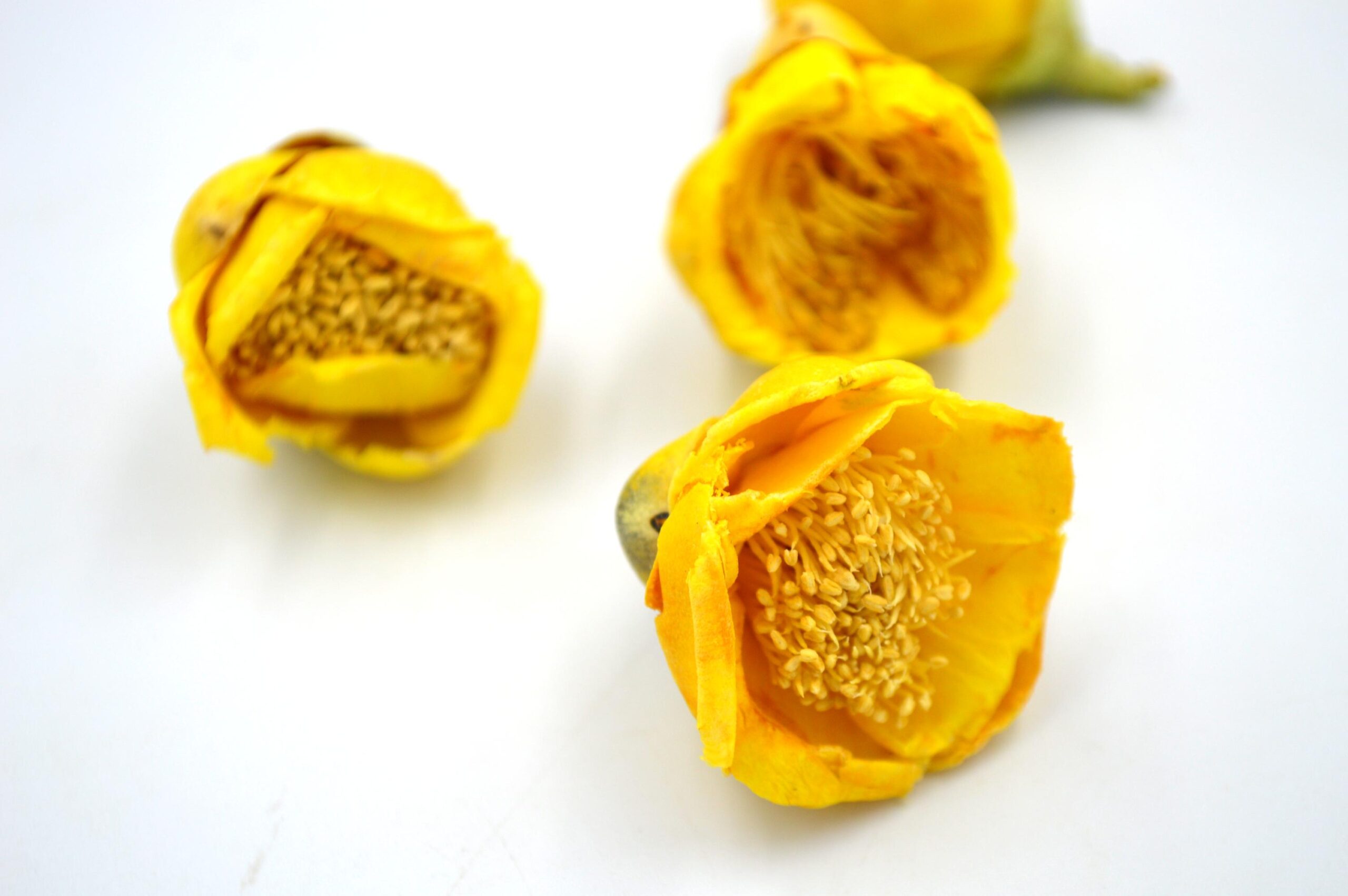 DSC_1190(1) DSC_1190(1)