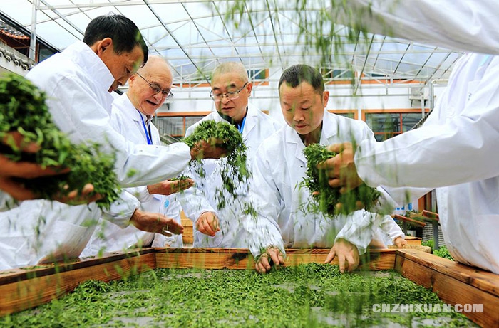 https://shop.liu-tea-art.com/wp-content/uploads/2025/10/16475993172946.jpg